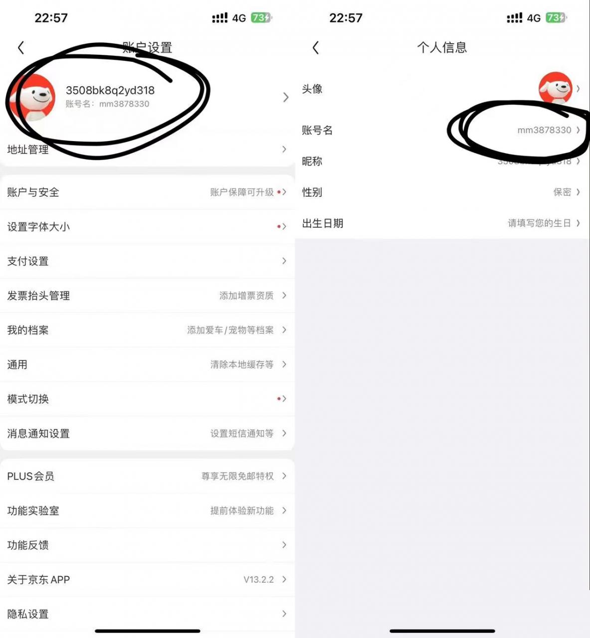 图片[1]-【2024.10.10】最新0.01京东撸实物玩法-旺朝科技