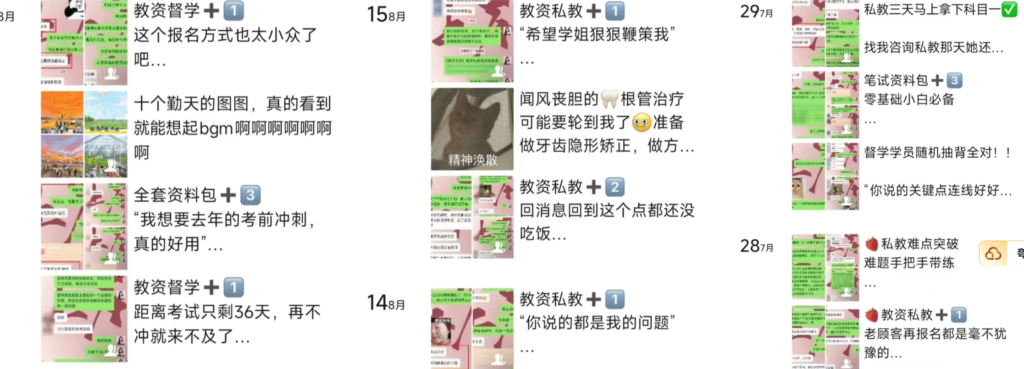 图片[1]-【2024.12.29】裸辞靠着虚拟资料项目月收入2W+，普通人可复制的详细变现方法分享-旺朝科技